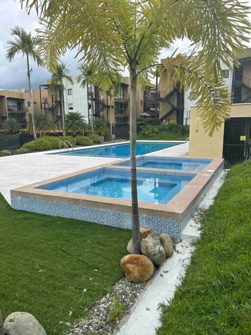 Hermoso De Vacaciones En El Quindio