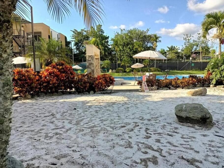 Hermoso De Vacaciones En El Quindio Apartamento *